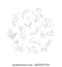 Isolated contour vector flowers set