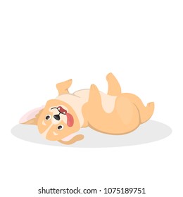 Isolated corgi dog. Funny cartoon domestic animal.