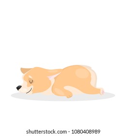 Isolated corgi dog. Funny cartoon domestic animal.