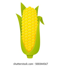 Isolated corn cob with husk on white background. Vector illustration.