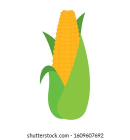 Isolated corn cob icon. Thanksgiving season - Vector illustration design