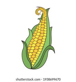 Isolated corn cob icon. Vegetable icon - Vector illustration