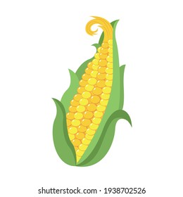 Isolated corn cob icon. Vegetable icon - Vector illustration