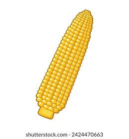 Isolated Corn Cob Vector Artwork in cartoon style