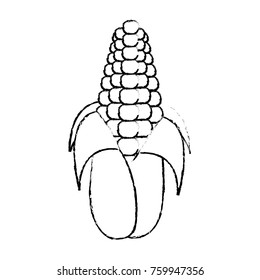 Isolated corn design