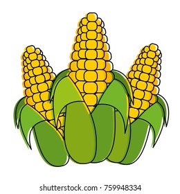 Isolated corn design