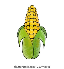 Isolated corn design