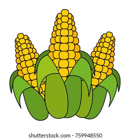 Isolated corn design