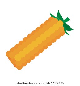 Isolated corn food design vector illustrator