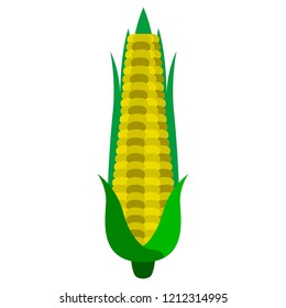 Isolated corn with leaves. Vector illustration design