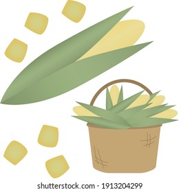 isolated corn on white background
