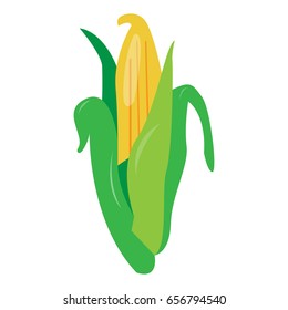 Isolated corn on a white background, Vector illustration