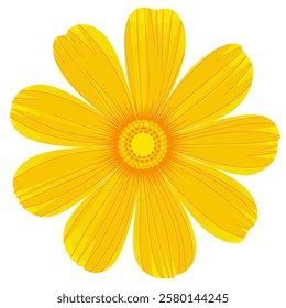 Isolated cosmos flower clipart. Single vector cosmos flower.