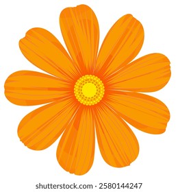 Isolated cosmos flower clipart. Single vector cosmos flower.