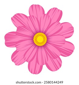 Isolated cosmos flower clipart. Single vector cosmos flower.