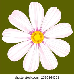 Isolated cosmos flower clipart. Single vector cosmos flower.