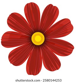 Isolated cosmos flower clipart. Single vector cosmos flower.