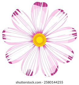 Isolated cosmos flower clipart. Single vector cosmos flower.