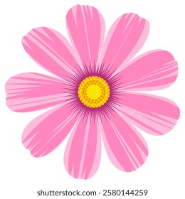 Isolated cosmos flower clipart. Single vector cosmos flower.