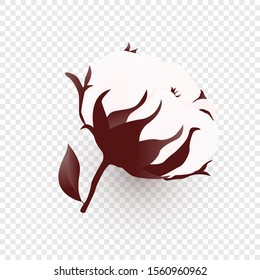 Isolated cotton plant on transparent background. Realistic bio flower. Vector Illustration