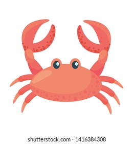 Isolated crab cartoon design vector illustration