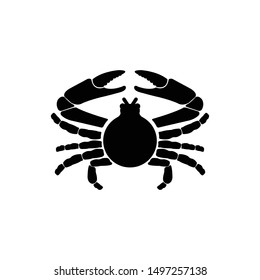 Isolated crab on white background