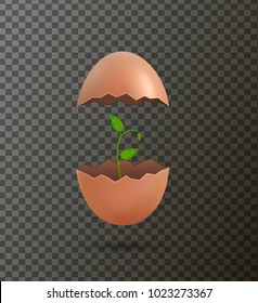 isolated cracked egg with green sprout inside, vector