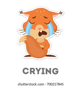 Isolated crying squirrel on white background. Sad animal with tears.
