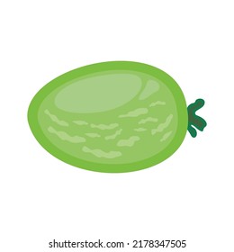 Einzige Gurke auf weißem Hintergrund. Illustration im Vektorformat