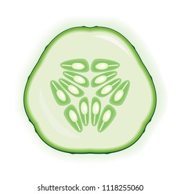Isolated cucumber slice. Vector illustration.