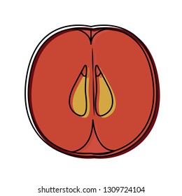 isolated cut apple