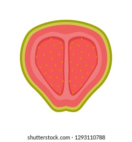 Isolated cut guayaba image. Vector illustration design