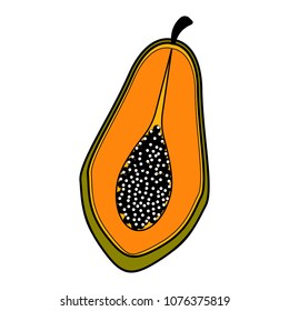 Isolated cut papaya icon