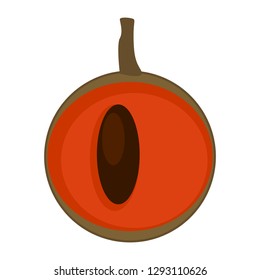 Isolated cut sapodilla image. Vector illustration design