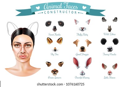 Isolated cute animal faces constructor icon set with sweet koala fluffy kitty wild zebra sly fox good doggie and others muzzles vector illustration