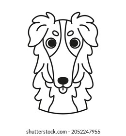 Isolated cute avatar of a collie dog breed Vector illustration