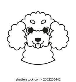Isolated cute avatar of a poodle dog breed Vector illustration