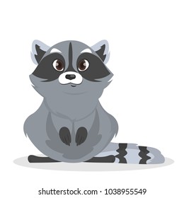 Isolated cute baby raccoon on white background.