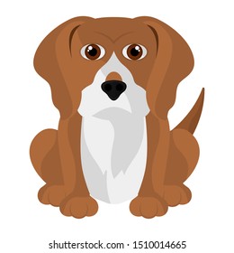 Isolated cute beagle cartoon. Dog breeds - Vector