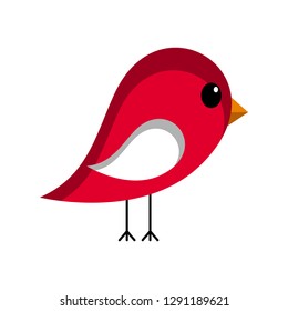 Isolated cute bird. Love icon. Vector illustration design