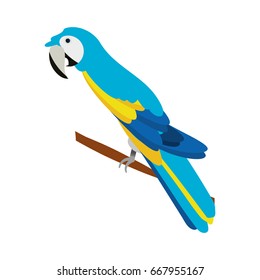 isolated cute blue guacamaya