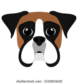 Isolated cute boxer cartoon. Dog breeds - Vector