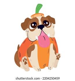 Isolated cute bulldog with a halloween pumpkin costume Vector