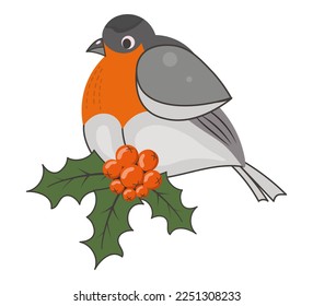 Isolated cute bullfinch, berries and holly leaves. Winter bird. Vector illustration of drawings on a white background. flat style. For postcard design. banners, web pages.