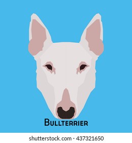 Isolated cute bullterrier on a blue background