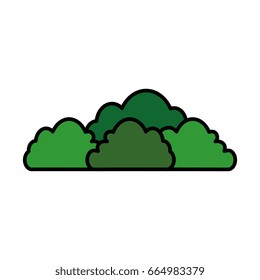 isolated cute bush