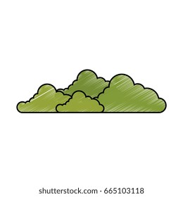isolated cute bush
