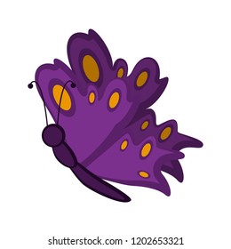 Isolated cute butterfly icon. Vector illustration design