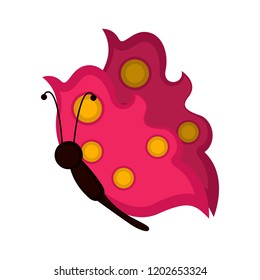 Isolated cute butterfly icon. Vector illustration design