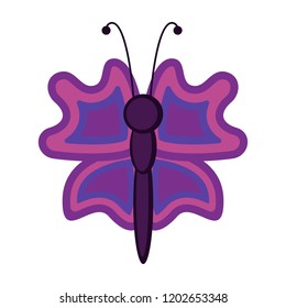 Isolated cute butterfly icon. Vector illustration design
